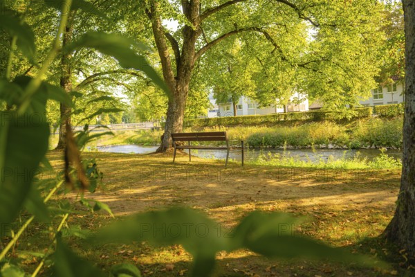 Wooden bench in a shady park by the river, surrounded by green trees, Nagold, district of Calw, Black Forest, Germany