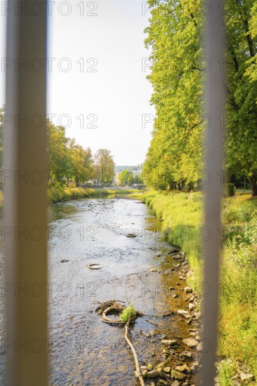 Peaceful river course, lined with green trees and gentle landscape behind, Nagold, district of Calw, Black Forest, Germany