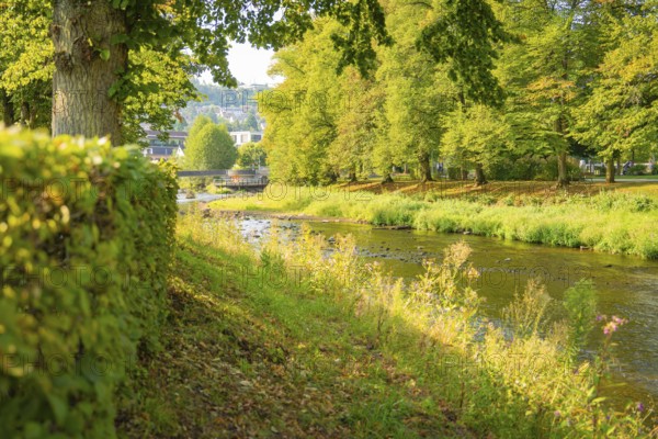 Idyllic river landscape with green trees and bridge in the background, Nagold, district of Calw, Black Forest, Germany