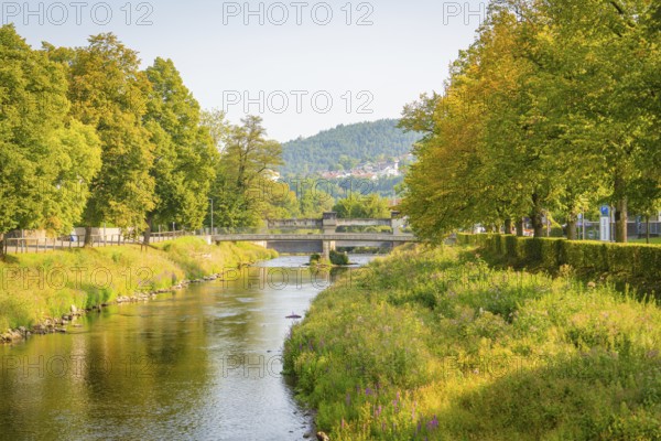 Idyllic river landscape with mountains in the background, framed by green trees and summer flora, Nagold, district of Calw, Black Forest, Germany