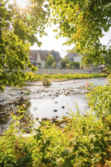 River landscape behind green leaves, with historic houses and lush trees in the background, Nagold, district of Calw, Black Forest, Germany
