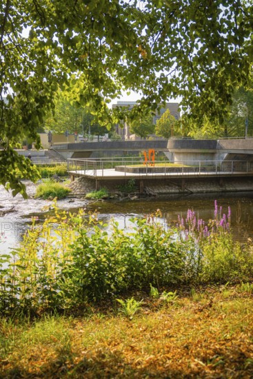 Natural river environment with dense vegetation and a bridge under the summer sun, Nagold, district of Calw, Black Forest, Germany