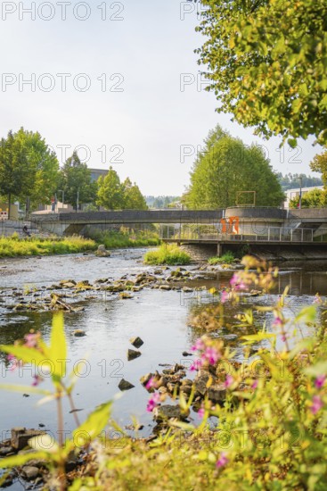 Summer river landscape with bridge, surrounded by green vegetation and colourful flowers, Nagold, district of Calw, Black Forest, Germany