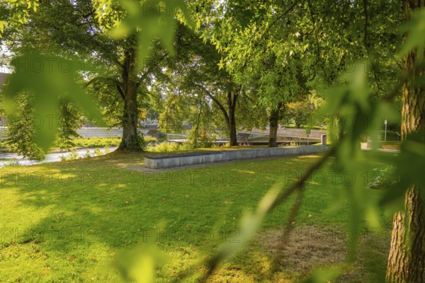 Wide green area in a park with trees and river in the background, sunny atmosphere, Nagold, district of Calw, Black Forest, Germany