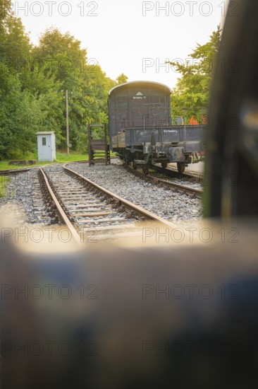 View of an old railway carriage on rails, surrounded by trees at dusk, Nagold, district of Calw, Black Forest, Germany