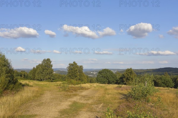 Hiking trails in the Truppacher Heide, Trupbacher Heide nature reserve with heaths and rough grassland, Siegerland, North Rhine-Westphalia, Germany