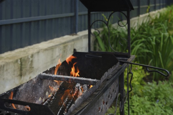 In a backyard. Lush green plants surround the grill, showcasing a peaceful outdoor setting perfect for cooking