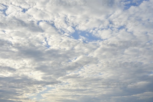 White clouds fill the sky, casting gentle shadows below. The bright blue stretches endlessly, creating a peaceful atmosphere perfect for reflection and quiet enjoyment of nature's beauty