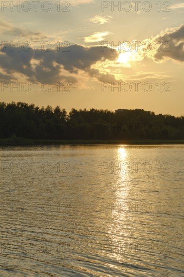 A warm summer afternoon unfolds at the lake, with the sun dipping below the horizon. The water reflects golden hues as gentle ripples dance across the surface, framed by lush greenery