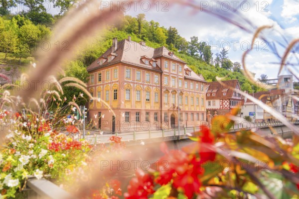Historic architecture behind colourful flowers and feathers, enlivened by lush greenery, small town pearl Calw, Black Forest, Germany