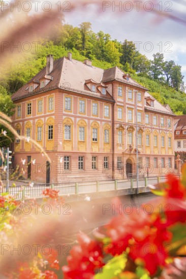 Victorian building surrounded by vibrant red flowers in a summery atmosphere, small town pearl Calw, Black Forest, Germany