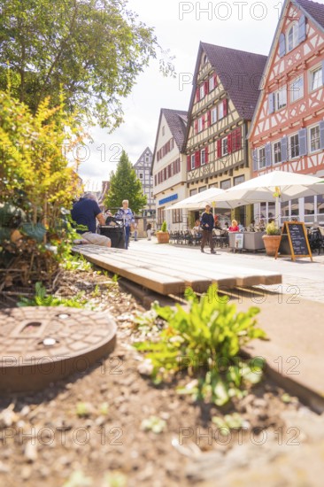 View of half-timbered houses and flowering plants along the path in bright sunshine, small town of Perle Calw, Black Forest, Germany