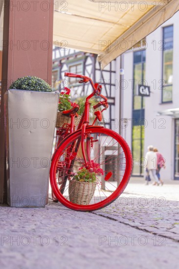 Decorative red bicycle with flower baskets in front of modern buildings in the city centre, small town of Perle Calw, Black Forest, Germany
