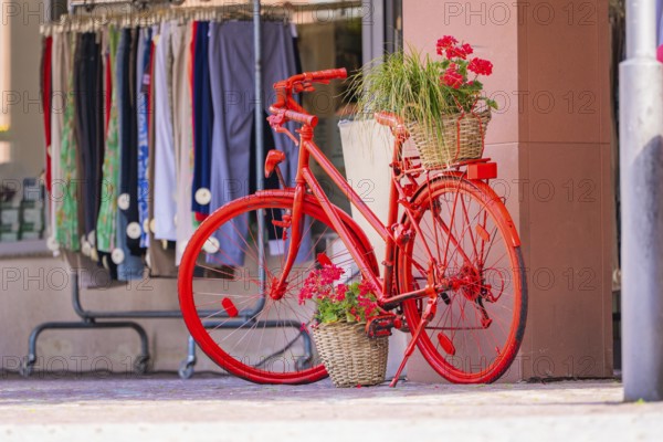 Red bicycle with flowers in a basket in front of a shop window of a clothing shop in the city, small town of Perle Calw, Black Forest, Germany