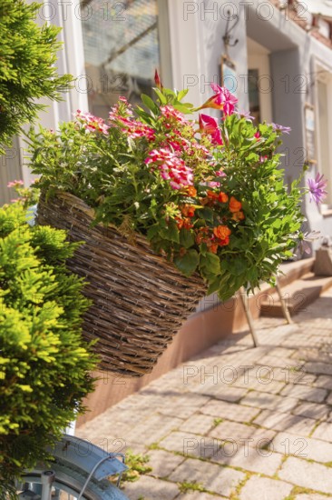 A richly filled basket of flowers on a bicycle handlebar in the sunshine, small town of Perle Calw, district of Calw, Germany