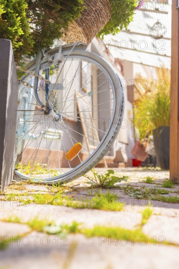 Illuminated bicycle tyre on a flowering basket against an urban background, small town of Perle Calw, district of Calw, Germany