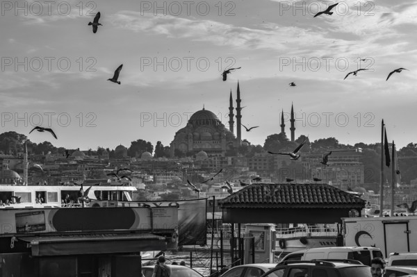 Scenic view of seagulls flying over the bosphorus strait with the suleymaniye mosque dominating the istanbul cityscape in monochrome