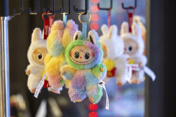 Labubu cuddly toy figure from China. There is a real hype surrounding the toy. Stuttgart, Baden-Württemberg, Germany