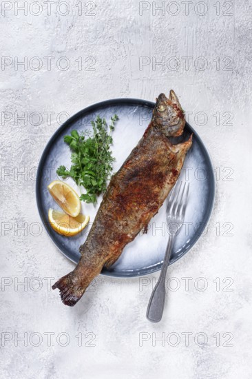 Fried rainbow trout, with herbs and citrus fruits, on a plate, top view