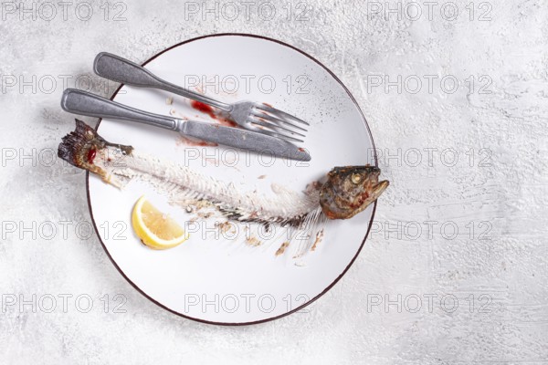 The remains of fish on a plate with a fork and knife, the skeleton of a rainbow trout, after lunch, top view, no people