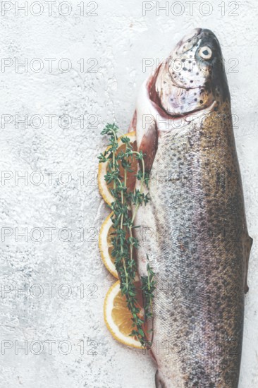 Freshly caught rainbow trout with herbs and citrus arranged on a light textured surface