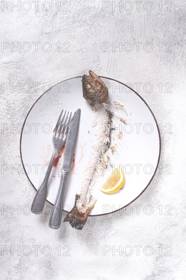 The remains of fish on a plate with a fork and knife, the skeleton of a rainbow trout, after lunch, top view, no people