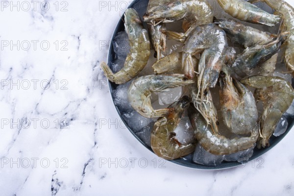 Fresh raw shrimp, spread on ice with lemon and cilantro slices on a marble surface, ready to cook, no people