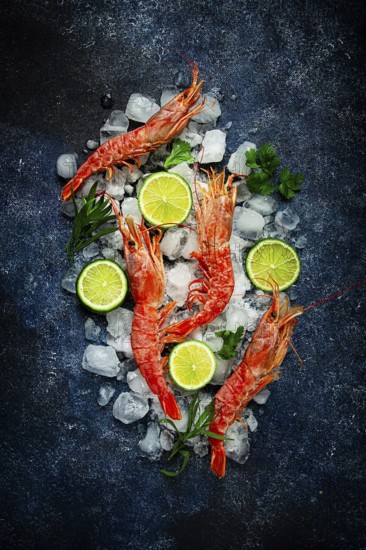 Langoustines, Australian, freshly frozen on ice, top view, lime and greens