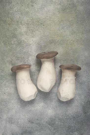 Fresh eringi mushrooms, raw, royal oyster mushrooms, three pieces, Asian cuisine, no people