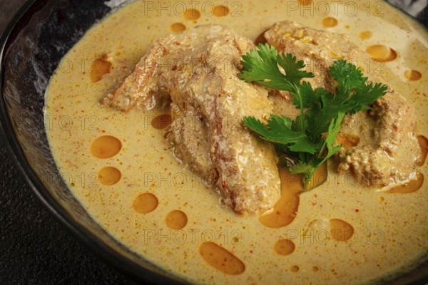 Satsivi, chicken in walnut sauce Baghe, cold dish, Georgian cuisine, homemade, no people