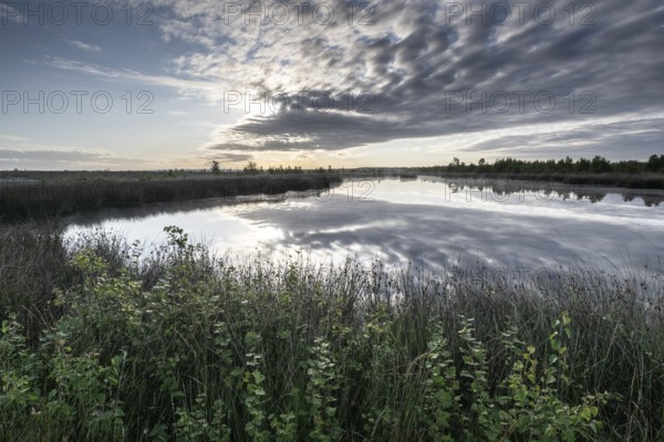 Moorsee, Emsland, Lower Saxony, Germany