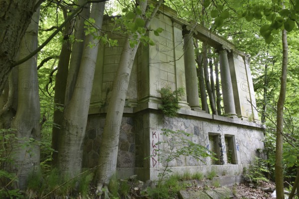 Ruin, castle ruin of Dwasieden Castle on Rügen, Mecklenburg-Western Pomerania, Germany