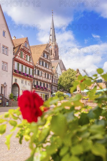 A church rises behind historic buildings, decorated in red with flowers, small town pearl Calw, Black Forest, Germany