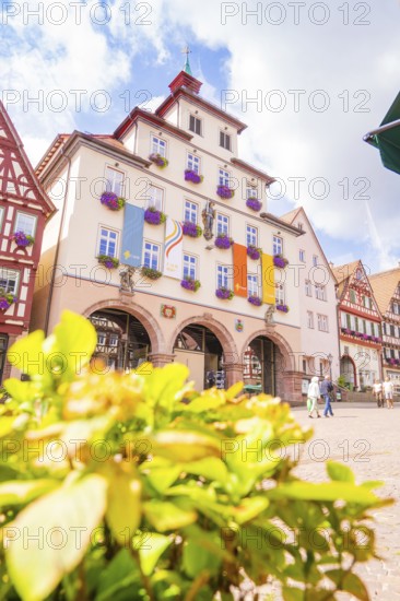 Historic town hall with colourful flags and flowers in the town centre, small town pearl Calw, Black Forest, Germany