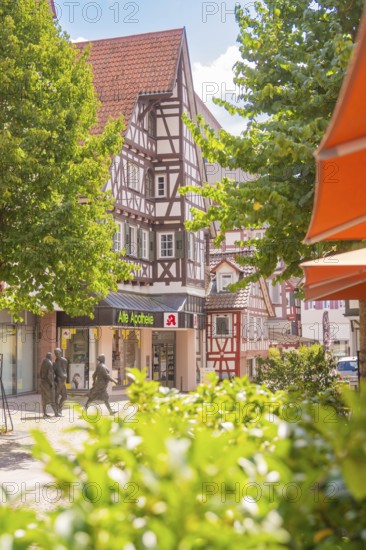 Half-timbered house with pharmacy in sunny, green surroundings, small town of Perle Calw, Black Forest, Germany