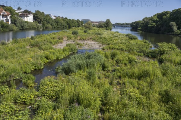 Saarn-Mendener Ruhraue, nature reserve, Mülheim an der Ruhr, Rurgebiet, North Rhine-Westphalia, Germany