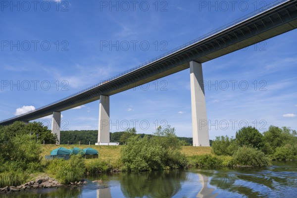 Motorway bridge A 52 over the Ruhr, from below, Nile geese with young on the water, Mülheim an der Ruhr, Rur area, North Rhine-Westphalia, Germany