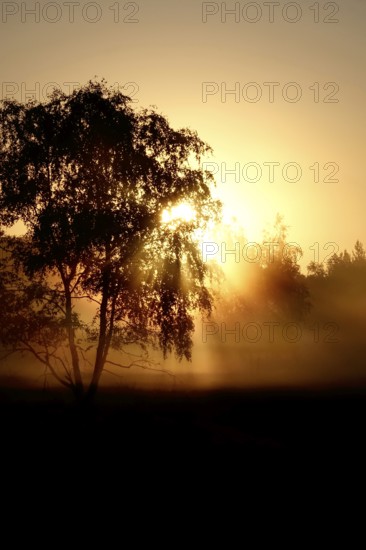 Landscape with rising sun, August, Germany