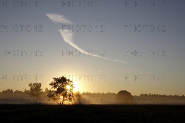 Landscape with rising sun, August, Germany