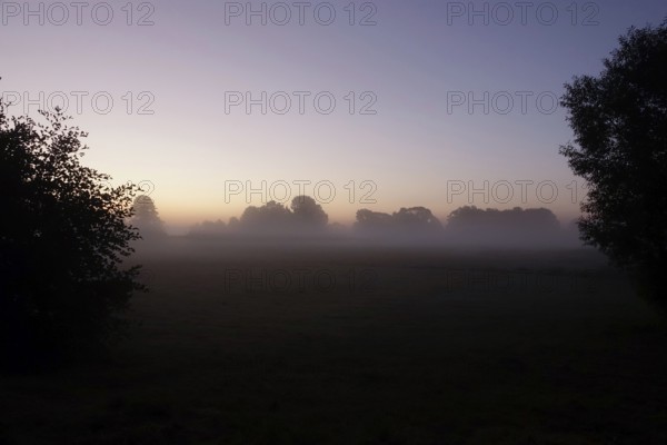 Landscape with morning fog, Summer, Saxony, Germany