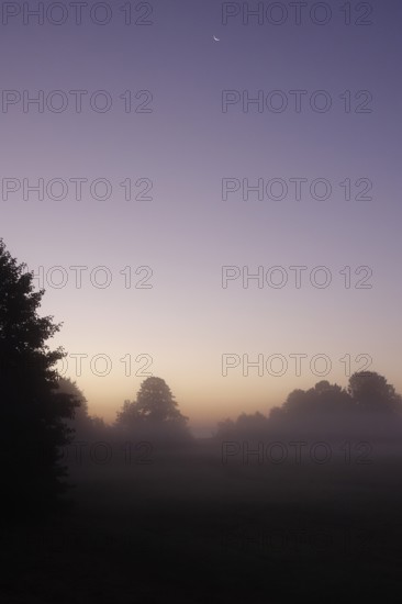 Landscape with morning fog, Summer, Saxony, Germany