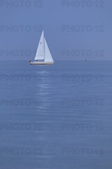 Sailing boat, off Falckenstein, Kiel Fjord, Kiel, Schleswig-Holstein, Germany