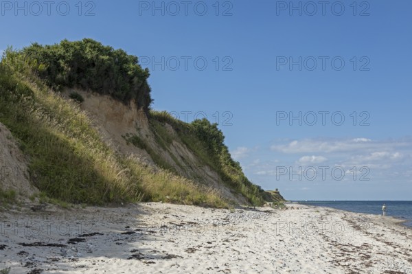 Beach, Stohl cliffs, Schwedeneck, Schleswig-Holstein, Germany