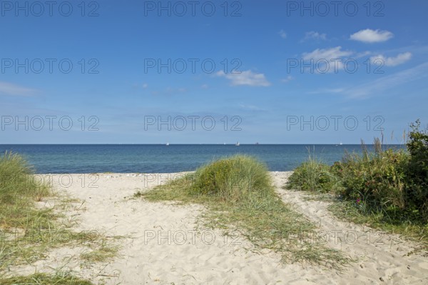 Beach, sailboats, marram grass, Strande, Schleswig-Holstein, Germany