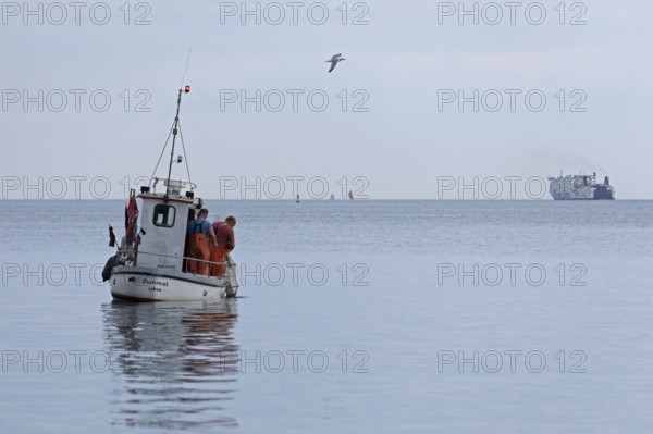 Fishing boat off Falckenstein beach, seagull, ferry, Kiel Fjord, Kiel, Schleswig-Holstein, Germany