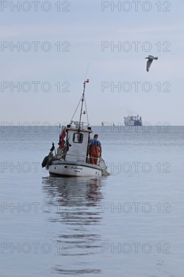 Fishing boat off Falckenstein beach, seagull, ferry, Kiel Fjord, Kiel, Schleswig-Holstein, Germany