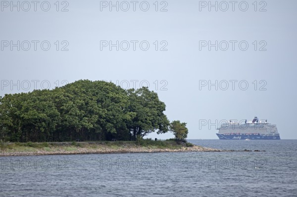Trees, forest, cruise ship Mein Schiff 7, Kiel Fjord, Strande, Schleswig-Holstein, Germany