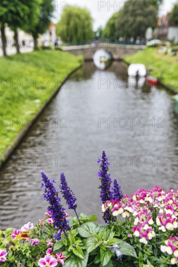 View over flower decoration on Mittelburggraben, blurred, Old Town, Friedrichstadt, Germany