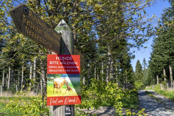 Sign in a wooded area near Altastenberg in the Sauerland, dogs must be kept on a lead, to protect wild animals in the forest, North Rhine-Westphalia, Germany