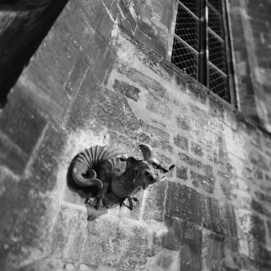 Sculpture of a demon on the wall of St Mary's Parish Church at Naumburg Cathedral, Naumburg, Saxony-Anhalt, Germany